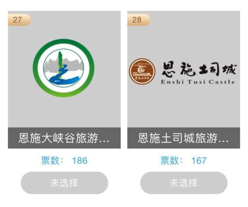 為恩施企業投票 首屆湖北省文化產業品牌選樹活動開啟