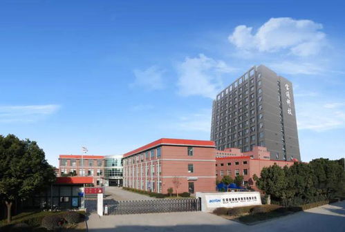 胡潤中國元宇宙潛力企業榜,高新區3家企業入選